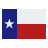 Texas Flag